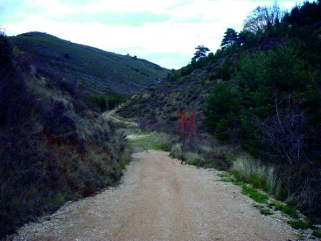 Inicio del camino hacia Vozmediano
